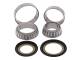 All Balls Steering Bearings for GL1800 & F6B